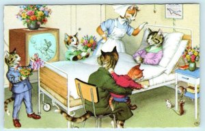 Mainzer DRESSED CATS & Kittens HOSPITAL VISIT Nurse Mice  #4931 Belgium Postcard