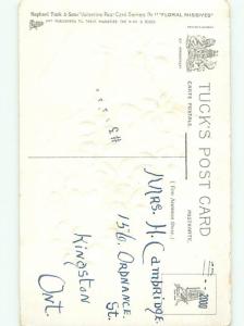 Divided-Back BEAUTIFUL FLOWERS SCENE Great Postcard AA2523