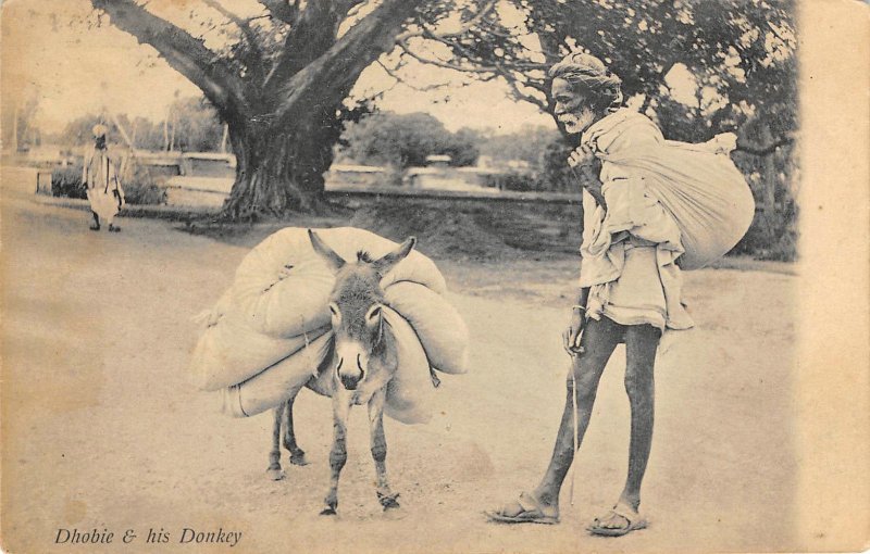 Dhobie & his Donkey, India ca 1910s Vintage Postcard