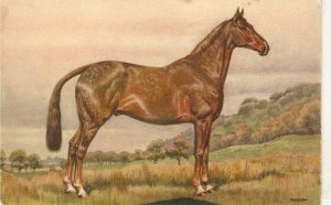 Alderson. A Horse Fine painting, vintqge  Swiss postcard