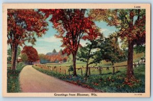 Bloomer Wisconsin WI Postcard Greetings Country Road Scenic View c1940's Vintage