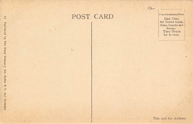 Lake Shore Railroad Station Willow Park Sodus Point New York 1910c postcard