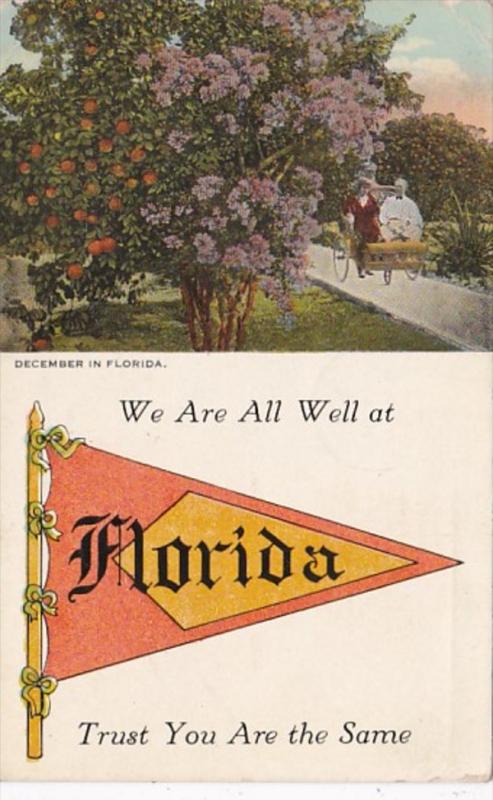 Florida We Are All Well At Florida Pennant Series 1923