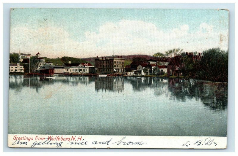 1907 Wolfeboro NH Greetings Postcard Lake City Buildings Undivided