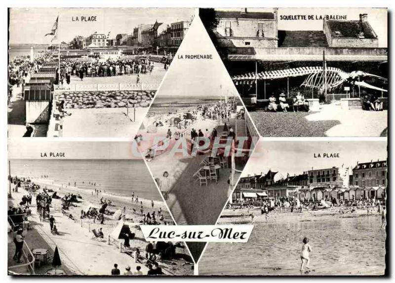 Postcard Modern Luc Sur Mer beach Whale