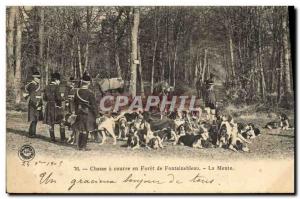 Old Postcard Hunting hounds in a Forest of Fontainebleau The Pack Dogs Dog