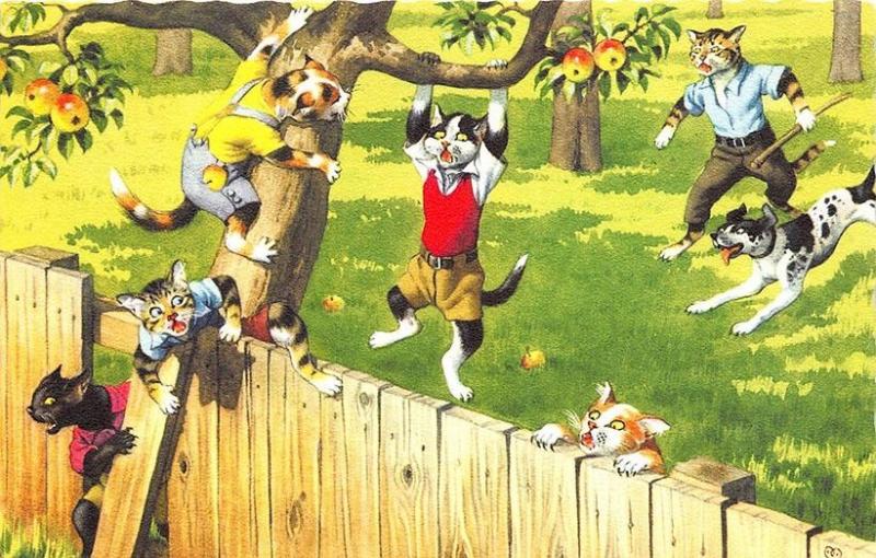 Mainzer Dressed Cats Tree Climbing #4867 Postcard