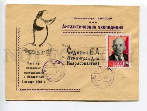 408320 USSR 1962 5 y research in Antarctica station Novolazarevskaya penguin