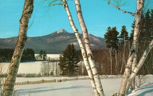 Vintage Postcard Mt. Chocorua New Hampshire in Winter NH Calef's Country Store