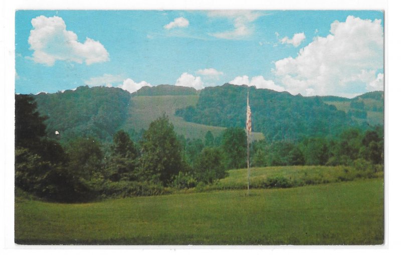 Garrett Williamson Lodge Newtown Square PA View from Porch Vntg Postcard