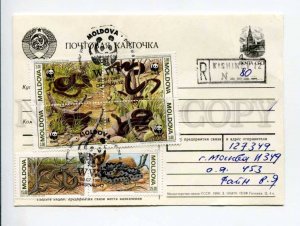 414058 MOLDOVA to RUSSIA 1993 WWF snakes registered Kishinev real posted postal