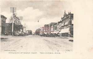 MI, Tecumseh, Michigan, Chicago Street, West, Business Area, 1908 PM, Gaston Pub