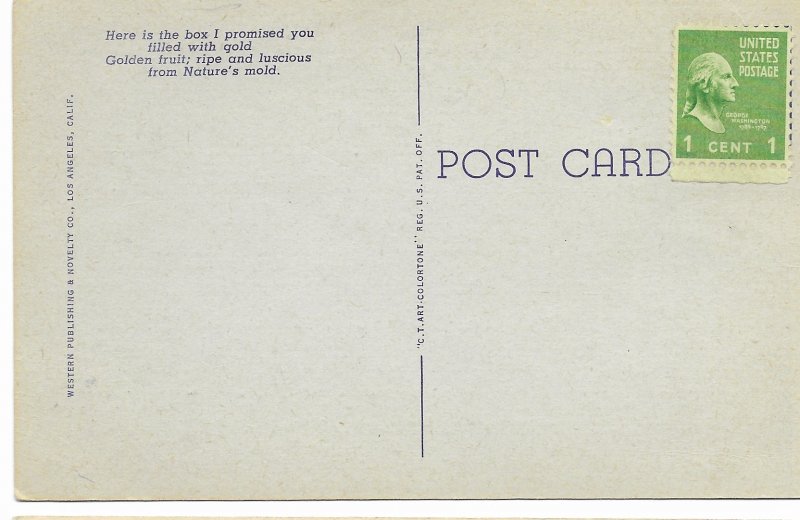 US Sunkist Oranges from California. Mint Card with #804 affixed.