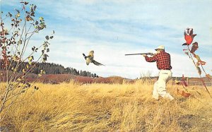 Pheasant Hunting View Images 