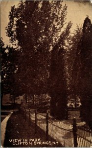 View in Park Clifton Springs NY New York RPPC Vintage Postcard UP Elmira Baker 