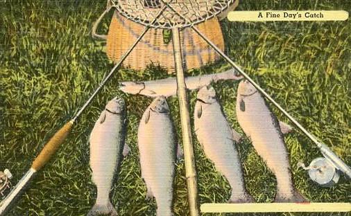 Vintage Postcard Fishing Fish ~ A fine Days Catch