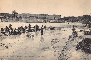 Tunisia Gabes L'Oued et Laveuses Native Women do Laundry postcard B932