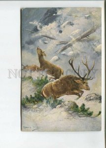 473045 MULLER Mueller Winter HUNT Deer snow avalanche Vintage postcard #1315