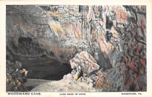 Woodward Cave, Lion Head in Cave Woodward, Pennsylvania PA s 
