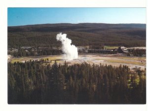 Old Faithful Geyser From Observation Point, Yellowstone National Park, Postcard