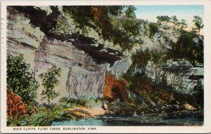 Rock Cliffs Flint Creek Burlington IA Iowa c1924 Postcard H9