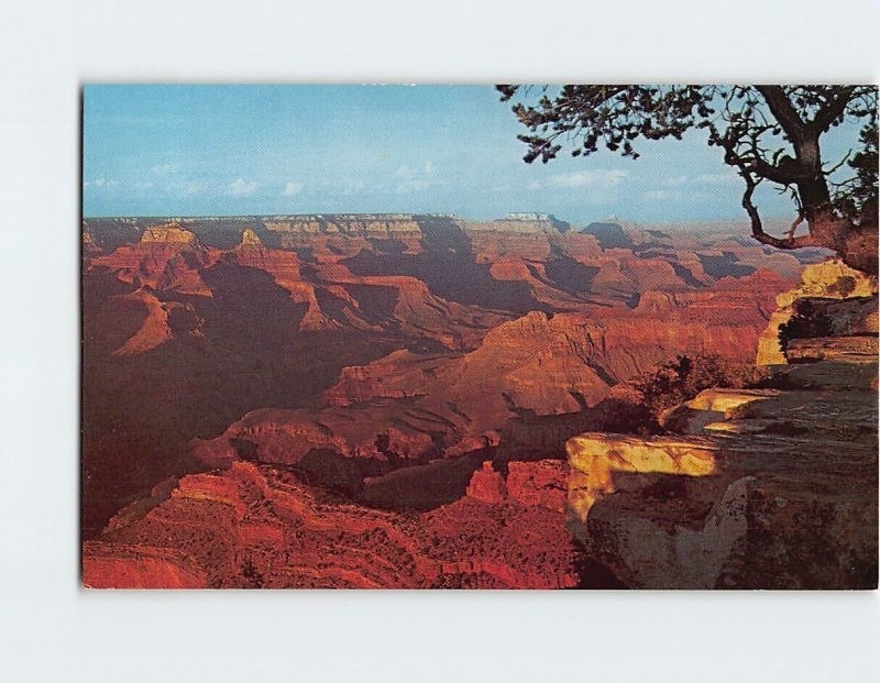 Postcard Sunset At Grand Canyon, Arizona