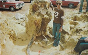 Mammoth Site of Hot Springs South Dakota Mammoth Skull With Tusks