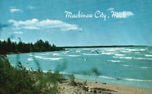 Vintage Postcard Sea Gulls and Waves Water Wonderland Mackinaw City Michigan MI