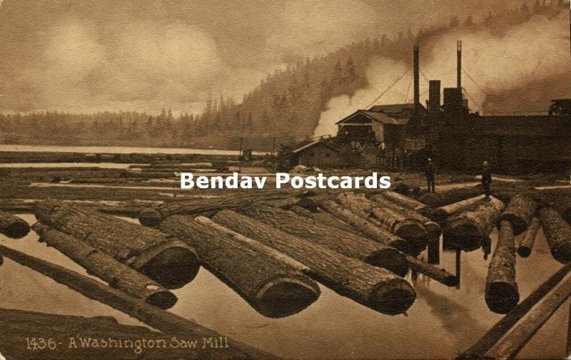 A Washington Saw Mill, Logging Lumbering Lumber (1910s)