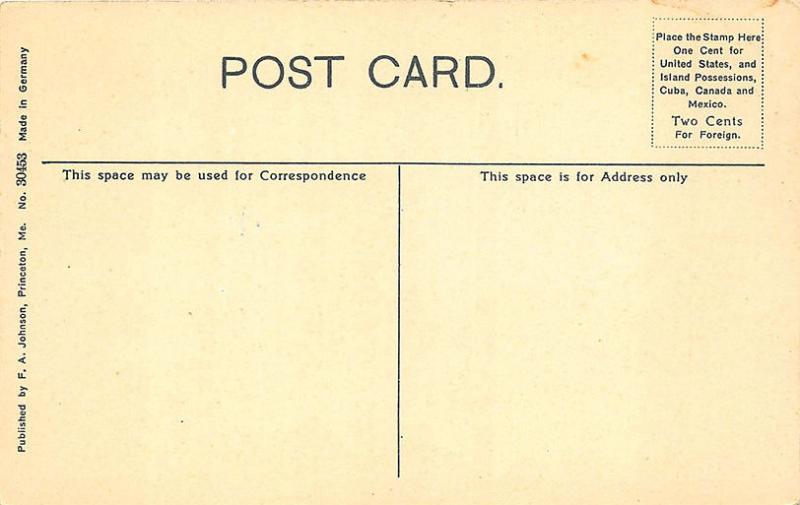 Princeton ME Main Street Store Front's Postcard