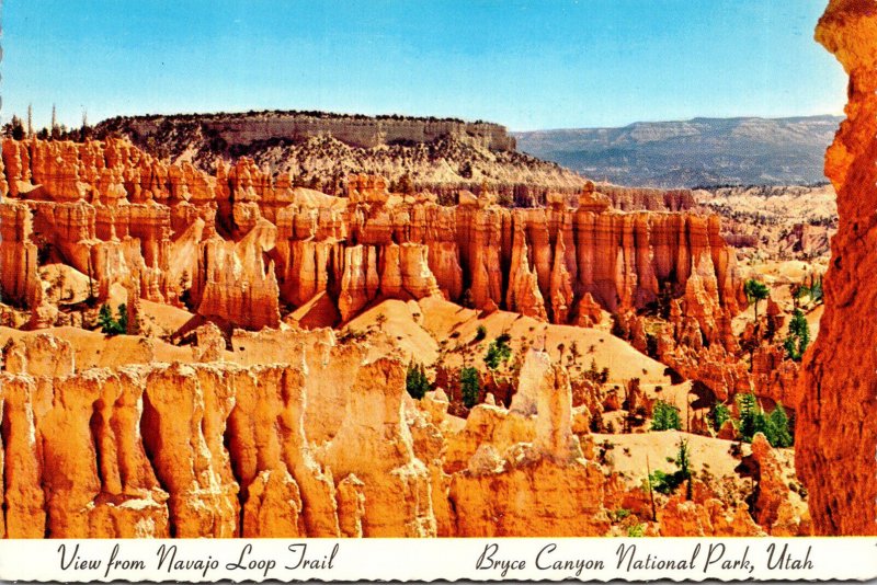 Utah Bryce Canyon National Park View From Navajo Loop Trail