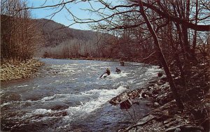 White Water Canoe Racing  - Mouth of Seneca, West Virginia WV  