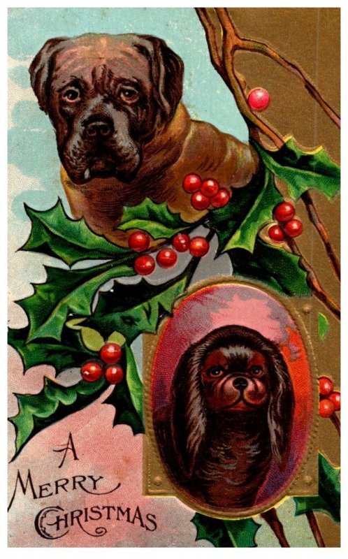 Dogs , Misiltoe, Merry Christmas