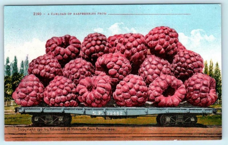 3 Exaggeration Postcards CARLOAD of  BLACKBERRIES, PEAR, RASPBERRIES 1910