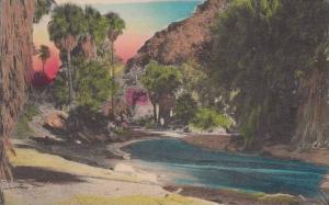 LP15  Palm Canyon, California, CA, postcard, View, Hand 