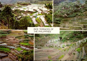 Philippines Multi View The Rice Terraces