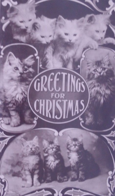 Cats Kittens RPPC Antique Vintage Christmas Real Photo Postcard 2