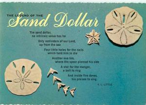 Legend of Sand Dollar Poem by V L Little  Postcard  # 6637