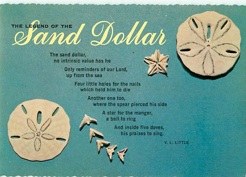 Legend of Sand Dollar Poem by V L Little Postcard 6637 Other