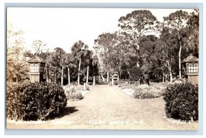 Vintage Japanese Lanterns Garden Clearwater FL Real Photo RPPC Postcard P141