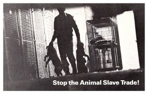 Stop The Animal Slave Trade