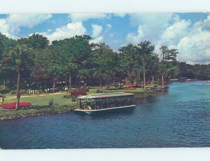 Pre-1980 SILVER SPRINGS SCENE Ocala Florida FL AF9825