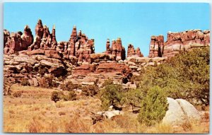 Postcard - The Needles, Canyonlands National Park - Utah