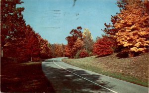 Vintage Postcard: Fall in Colorful Franklin, West Virginia