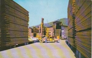 California Scotia The Pacific Lumber Company Fork-Lift Stacking Lumber