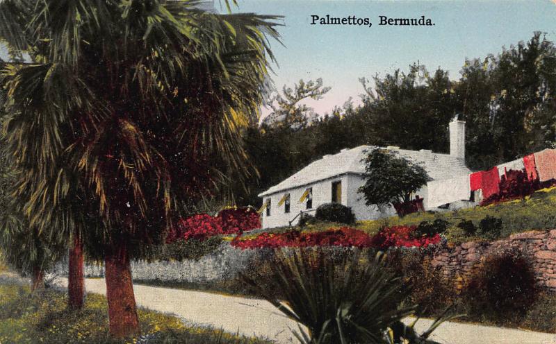 Palmettos, Bermuda, Early Postcard, used