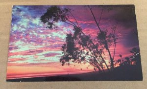 UNUSED  POSTCARD - SUNSET, NEW MEXICO