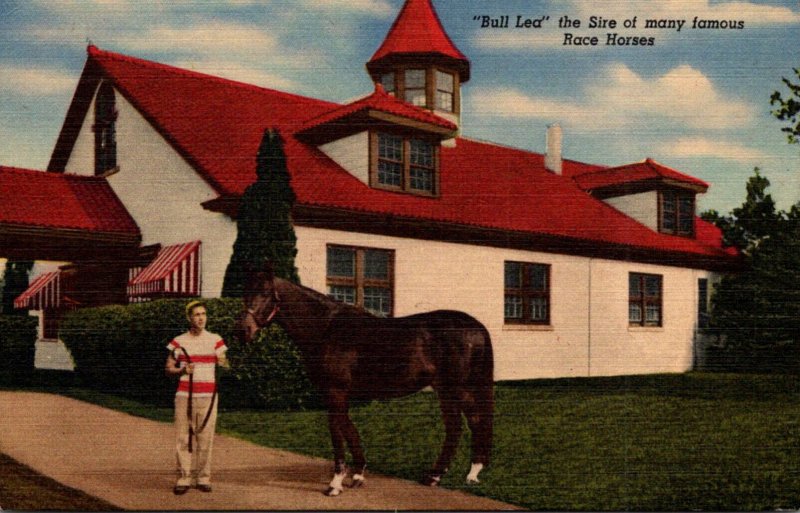 Kentucky Lexington Calumet Farm Bull Lea Sire Of Many Famous Race...