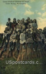 Class of School Children - Cedar Stump, Washington