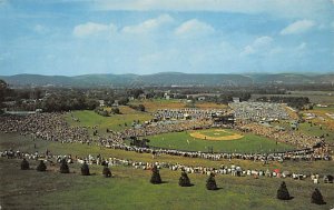 Howard J. Lamade Memorial Field, Penna, USA Baseball Stadium Unused 